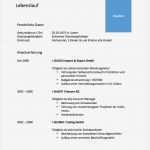 Lebenslauf Künstler Vorlage Hübsch Nett Fachhochschul Lebenslauf Galerie Entry Level Resume