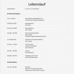 Lebenslauf Vorlage Doc Fabelhaft Agentur Fuer Arbeit Lebenslauf Muster Bwl Doc Vorlage