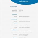 Lebenslauf Vorlage Openoffice Genial Bewerbung Als Muster