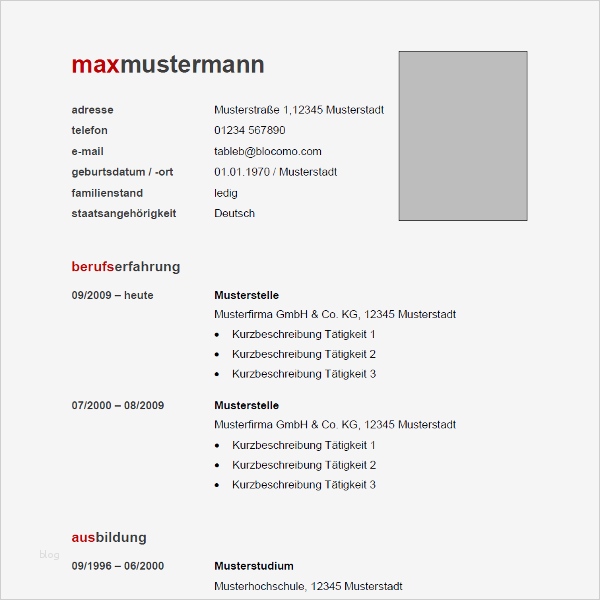 LEBENSLAUF MUSTER Calendar Page