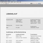 Lebenslauf Vorlage Word Download Angenehm Lebenslauf Muster Für Word Kostenlos Runterladen