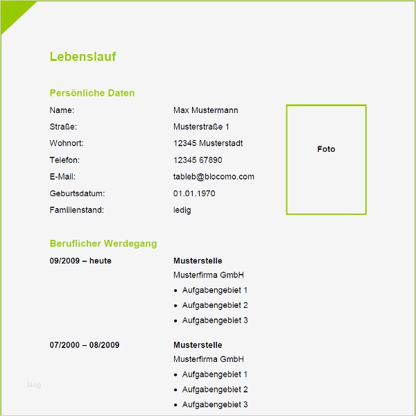 Vorlage 35 Tabellarischer Lebenslauf