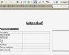 Lebenslauf Vorlage Zum Ausfüllen Erstaunlich Line Word Programm