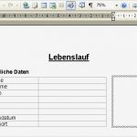 Lebenslauf Vorlage Zum Ausfüllen Erstaunlich Line Word Programm