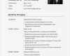 Lebenslauf Vorlage Zum Kopieren Erstaunlich Niedlich Lebenslauf Kopieren Bilder Entry Level Resume