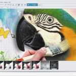 Magix Web Designer Vorlagen Genial Bildbearbeitungsprogramm Kostenlos En Magix Foto