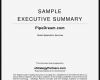 Management Summary Vorlage Word Erstaunlich Executive Summary Template Word Example Mughals