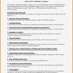 Management Summary Vorlage Word Erstaunlich Microsoft Word Executive Summary Template