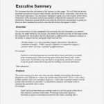 Management Summary Vorlage Word Genial Executive Summary Template