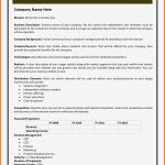 Management Summary Vorlage Word Süß Executive Summary Template Example Mughals