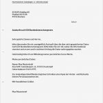 Mängelrüge Vorlage Cool Drucke Selbst Musterbrief Für Eine Kostenlose Schufa Auskunft