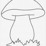 Manuelle therapie Befund Vorlage Wunderbar Mushroom Coloring Page Draw In Yourself Your Own Animal