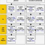 Marketingplan Vorlage Einzigartig Vertriebsplanung top Down Und Bottom Up Sap Dokumentation