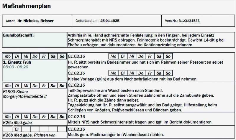 Maßnahmenplan Vorlage Pflege Schön Pflegeplan ...