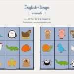 Mathe Bingo Vorlage Bewundernswert Reif Für Ferien Englisch Bingo Zum thema Animals