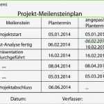 Meilensteine Projektmanagement Vorlage Großartig Schön Situationsanalyse Vorlage Galerie Beispiel