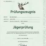 Meisterbrief Vorlage Download Wunderbar Neu Jäger Jagdschein Waffenschein Jagdhund