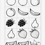 Memory Vorlagen Zum Ausdrucken Erstaunlich Memory Karten Semantisches Feld Obst Ses Madoo