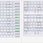 Messprotokoll Excel Vorlage Erstaunlich Großartig Bedarfsanalyse Vorlagen Zeitgenössisch Bilder