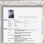 Microsoft Vorlagen Lebenslauf Fabelhaft Großartig Biographie Vorlage Microsoft Word Galerie
