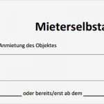 Mieterselbstauskunft Vorlage Einzigartig Die Besten Tipps Für Wohnungsbewerbung toptestsieger