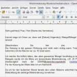 Mietminderung Vorlage Hübsch Musterschreiben Zur Mietminderung Vorlage Für Word