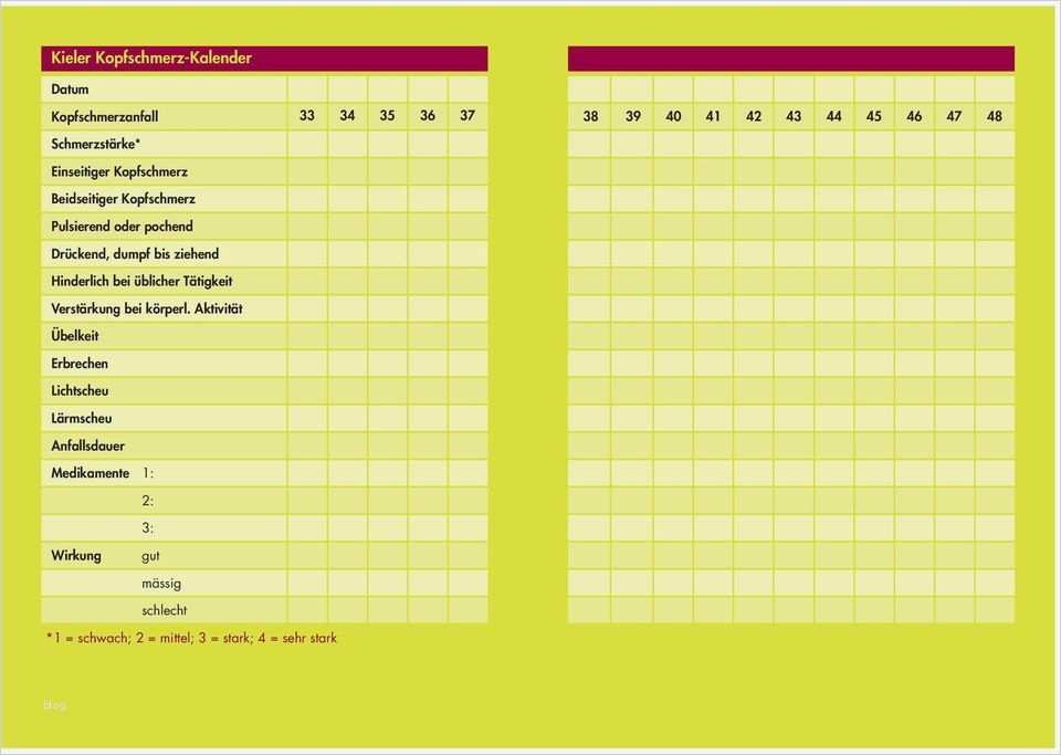 Migränetagebuch mit Kieler Kopfschmerz Fragebogen und