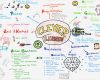 Mindmap Vorlage Kostenlos Fabelhaft Mindmap Erstellen Mind Mapping Lernen Wichtige Infos