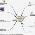 Mindmap Vorlage Leer Elegant Beste Mind Map Vorlage Fotos Entry Level Resume Vorlagen