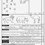 Mini Mental Test Vorlage Schön Demenz Und Alzheimer Alle Tests Und Diagnosen – 24