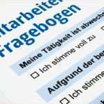 Mitarbeiterbefragung Zufriedenheit Vorlage Bewundernswert Mitarbeiterbefragung Fragebogen