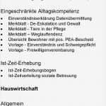 Mmse Test Vorlage Genial Die Neue Mdk Prüfanleitung Pdf