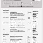Moderner Lebenslauf Vorlage Luxus Lebenslaufmuster Modernes Design