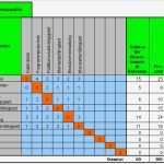 Morphologischer Kasten Vorlage Excel Erstaunlich Gruschka Schnitzenbaumer 2008