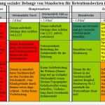 Morphologischer Kasten Vorlage Excel Fabelhaft Fein Bewertungsmatrix Vorlage Bilder