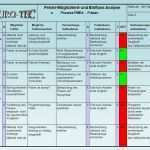 Morphologischer Kasten Vorlage Excel Gut Großzügig Fmea Vorlage Frei Bilder Beispiel