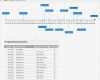 Ms Project Excel Vorlage Bewundernswert Meilensteinplan Vorlage Excel format