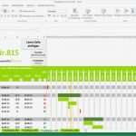 Ms Project Excel Vorlage Bewundernswert Projektplan Excel