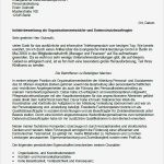 Muster In Die Haare Rasieren Vorlagen Wunderbar Bewerbung Datenschutzbeauftragte Seiteneinsteiger