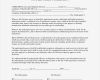 Non Disclosure Agreement Deutsch Vorlage Großartig Sample Non Disclosure Agreement