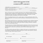 Non Disclosure Agreement Deutsch Vorlage Großartig Sample Non Disclosure Agreement