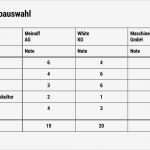 Nutzwertanalyse Vorlage Süß Fein Entscheidungsmatrix Vorlage Galerie Entry Level