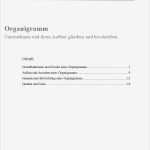 Organigramm Vorlage Leer Genial Schön organigramm Kostenlose Vorlage Fotos Ideen