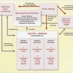 Organigramm Vorlage Leer Großartig Schön organisationsstrukturvorlage Bilder Entry Level