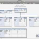Organigramm Vorlage Mac Angenehm Erfreut Vorlage organigramm Zeitgenössisch Beispiel