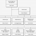 Organigramm Vorlagen Neu Schön organigramm Bilder Bilder Für Das Lebenslauf