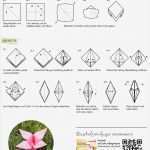 Origami Vorlagen Pdf Erstaunlich 100 origami Blume Anleitung Pdf Bilder Ideen