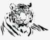 Papierschnitte Vorlagen Inspiration Free Vector Both Black and White Tiger Vector