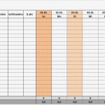 Personaleinsatzplan Vorlage Excel Süß Ungewöhnlich Vorlagen Für Personalpläne Zeitgenössisch