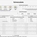 Pflegebericht Vorlage Erstaunlich Wunderbar Pflegebericht Vorlage Zeitgenössisch Beispiel